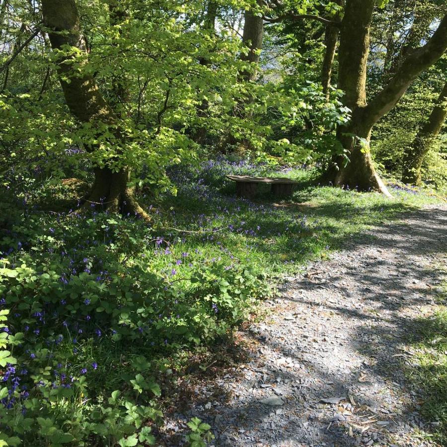Hotel 173A Woodland Way Porthmadog Exteriér fotografie